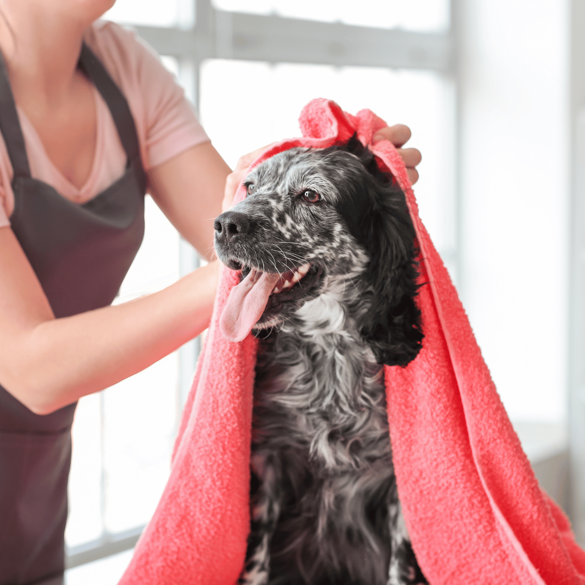 Custom-Made Pet Towels for grooming salons and pet owners