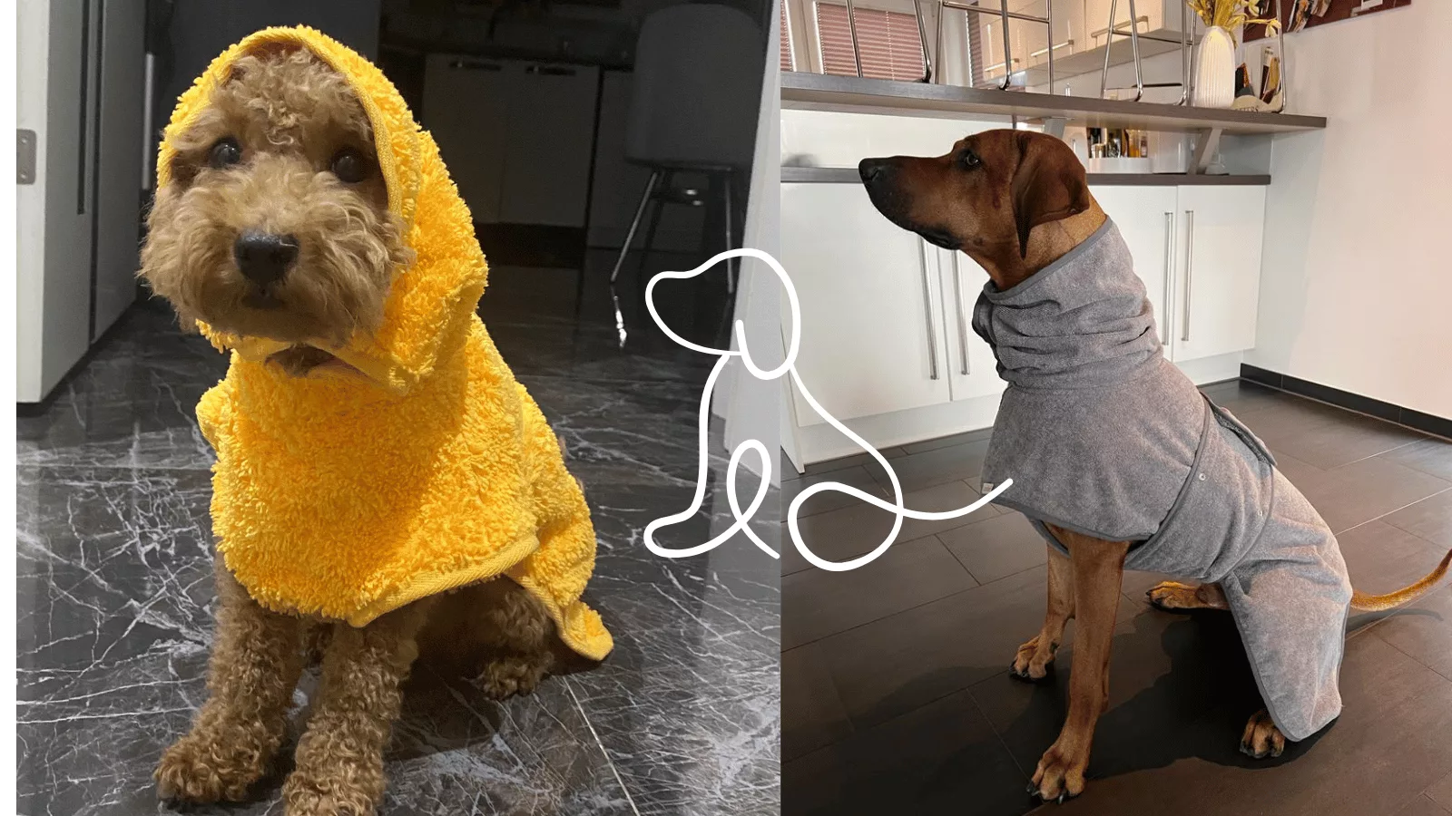Happy dog in a luxury bathrobe, 2025 pet grooming trends
